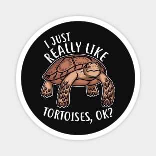 Tortoises: Really Like Them Magnet